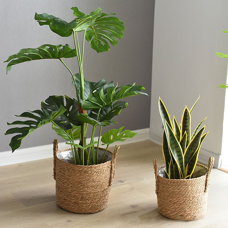 Las maceteros con mango de rat - Rattan Tray Handle reseña y precio